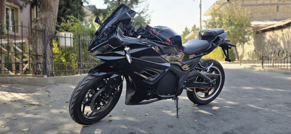 Electra bike 3000wat