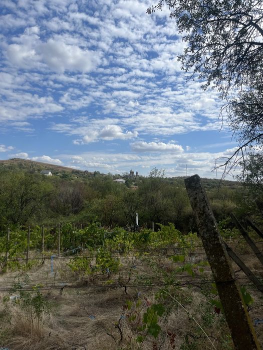 Teren intravilan 1.100 m² – Tohani, Prahova | Lângă Autostrada A7