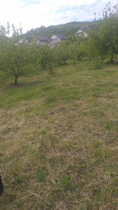 De vanzare teren intravilan Jibou - Strada Bailor