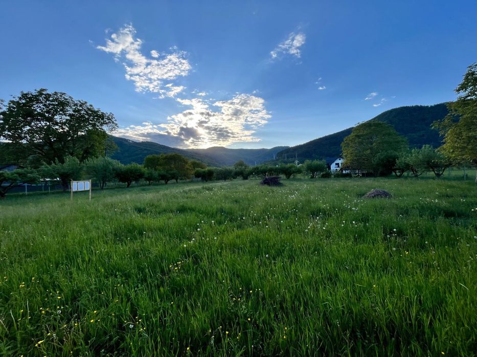 Teren de vanzare sat Stejaru, comuna Pangarati, Neamt