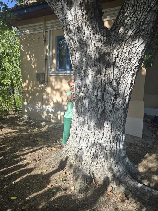 Vand lemn de nuc brut netaiat