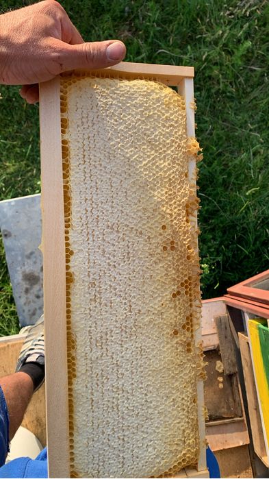 Fagure cu miere en-gros