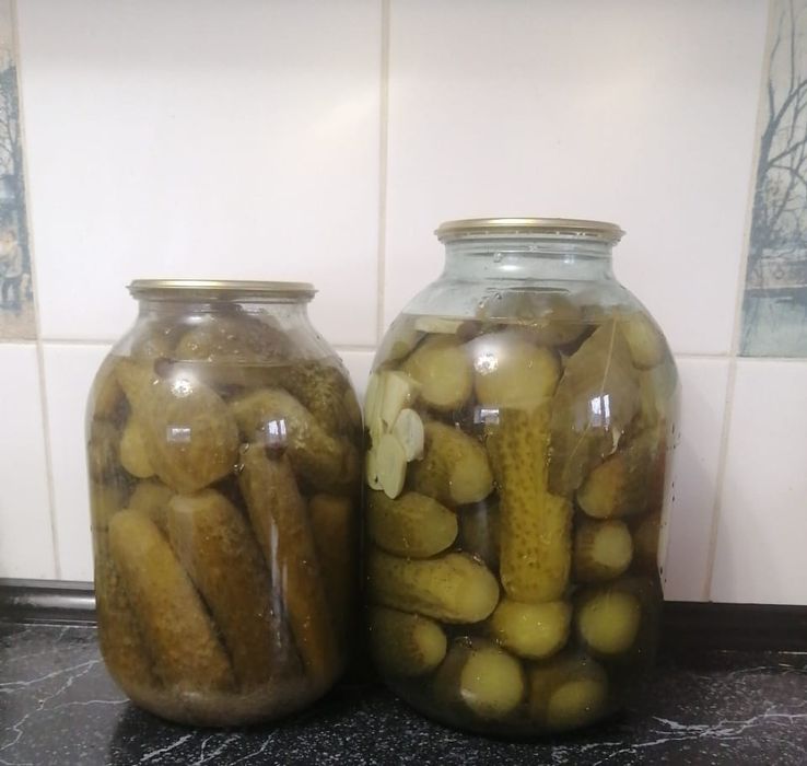Консервированные огурцы