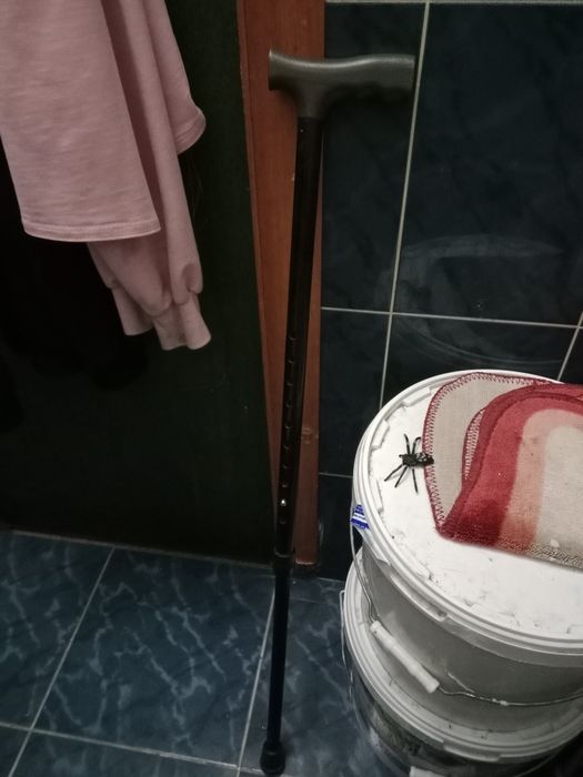 Продам трость костыли