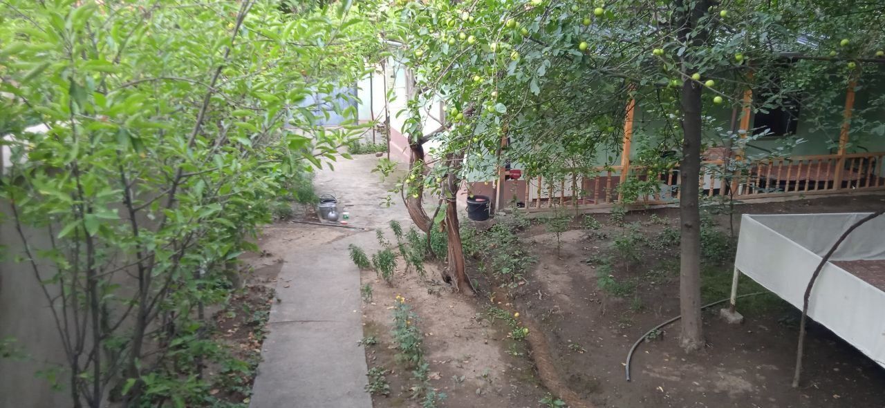 Ховли сотилади, Нархи келишилади, Чодак, Олтинкон шахарчаси.