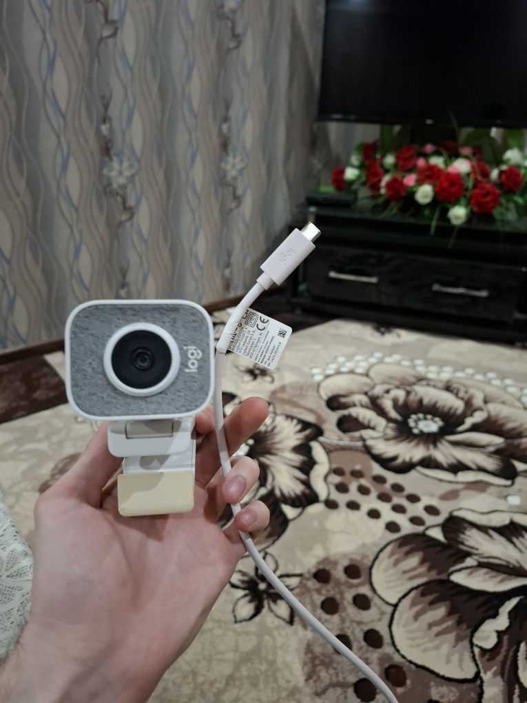 Web camera Logitech 1080/60