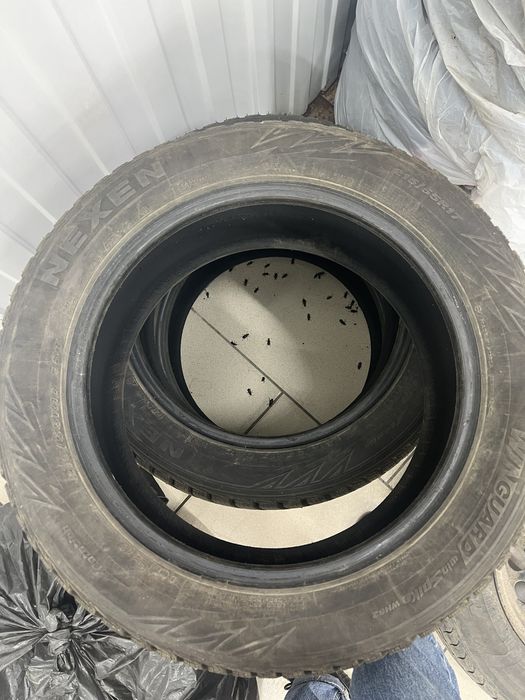 Продам шины R16,R17, R19