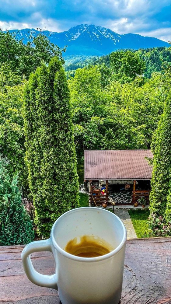 Vila de inchiriat -Casa din livada Borsa Maramures