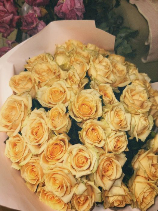 Свежая 101 роза