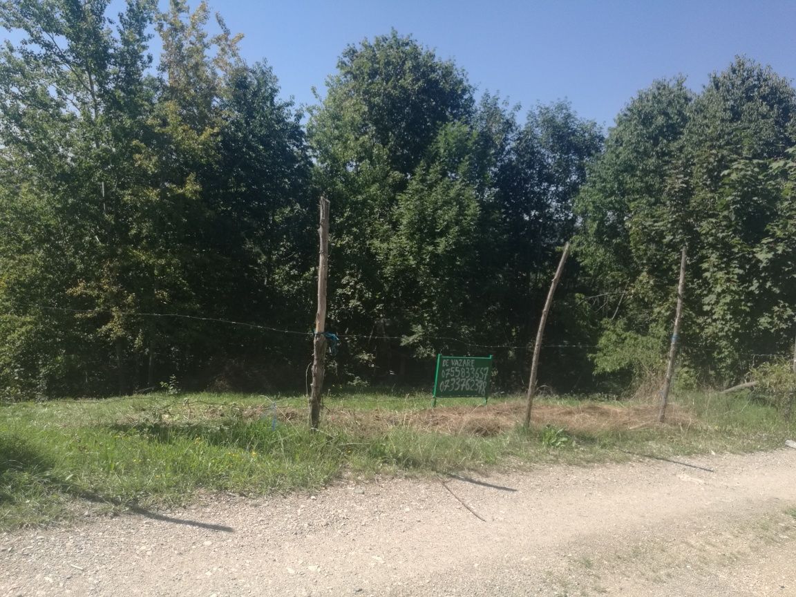 Vand 740 mp teren la Bran