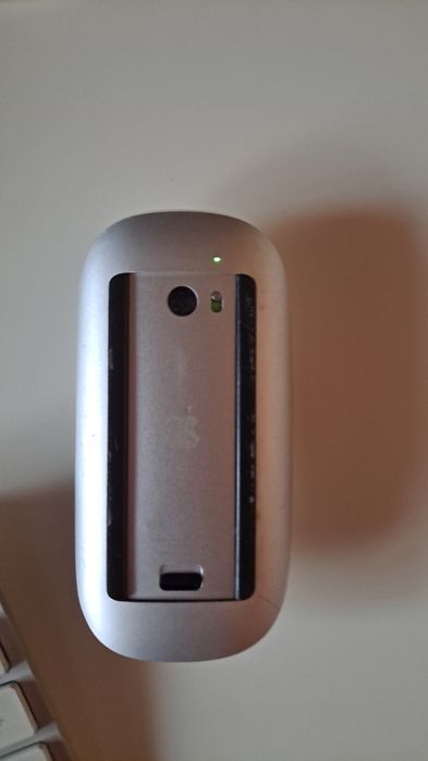 Tastatură și mouse Apple