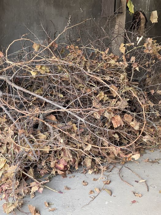 O’tin bor, muhtojlar olishi mumkin