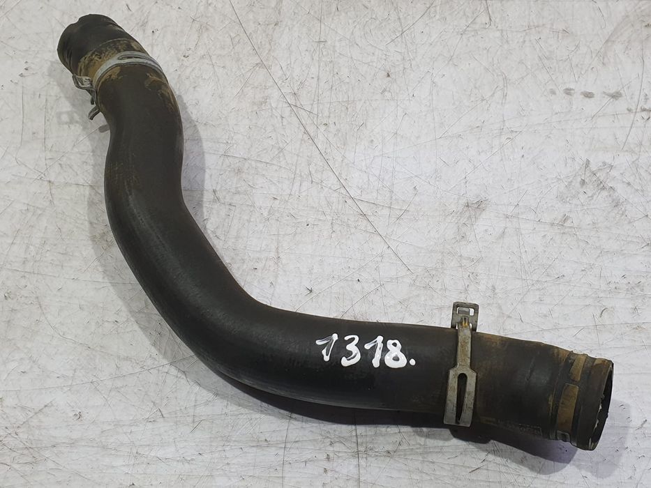 Furtun apa Ford Fiesta 7 (2017 - 2020) (1318) B7JA