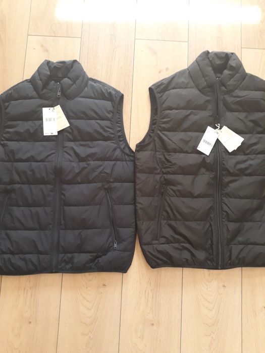 Vesta barbati L Mango