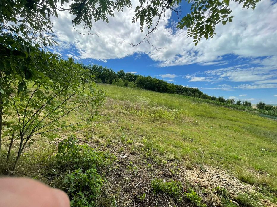 Teren intravilan cu casa ,7839 mp, comuna Catina judetul Cluj