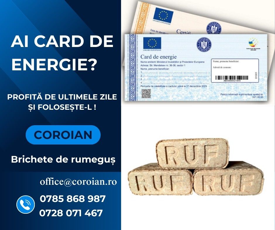 Brichete de rumeguș de fag pe CARDURI DE ENERGIE