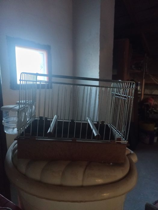 Colivii duble 503 și de cântec