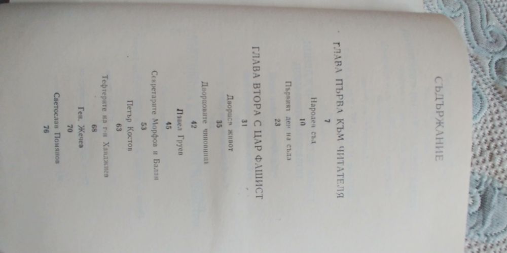 Възмездието, политически роман от Иван Пауновски