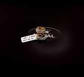 Bijuteria Royal cercei din aur 14k 2.50 gr