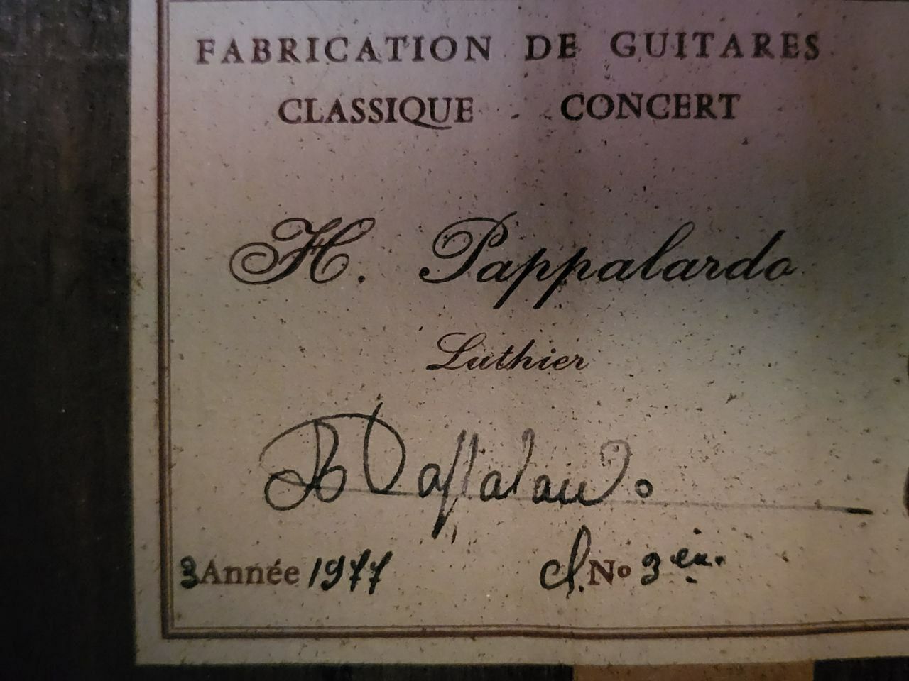 Colectie - chitara clasica 3/4  Pappalardo nr.3