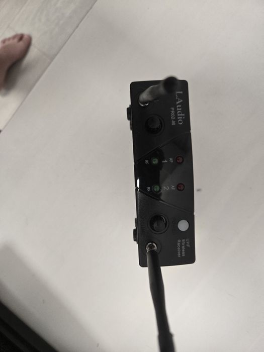 Два микрофона LAudio