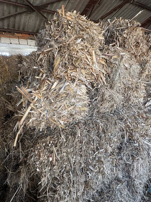 Продавам Бали  от царивичак.