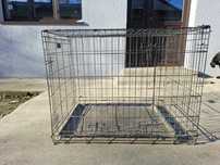 Cusca transport caini