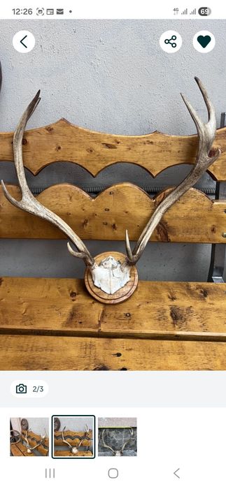 Vand trofee cerb carpatin,lopatar,caprior,capra neagra,sulitar. 8 poze