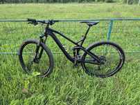 Canyon neuron 29