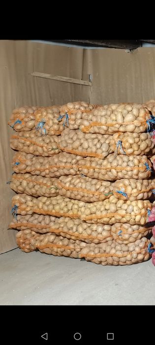 Vand cartofi consum alb si rosu