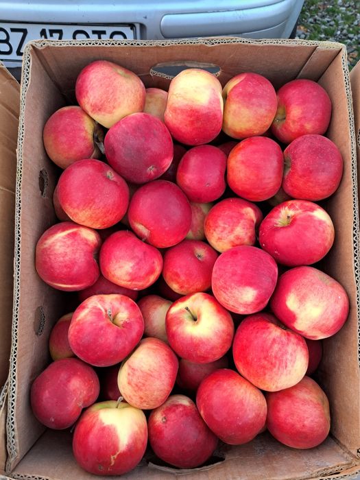 Vând mere Romanesti