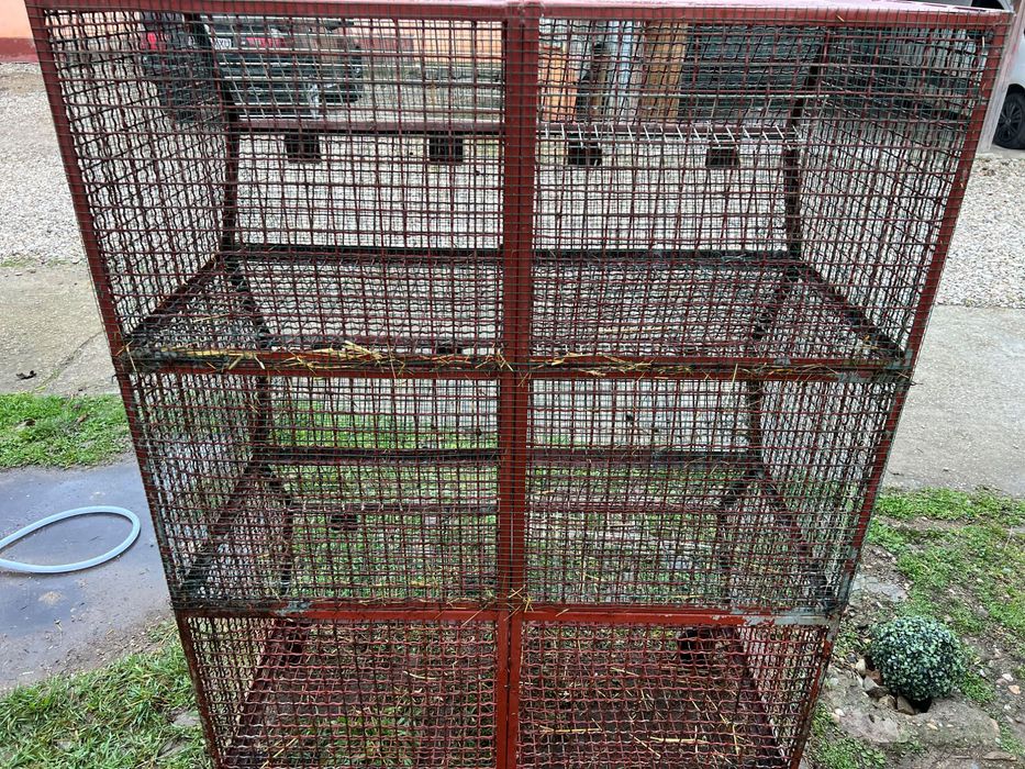 Cușcă Iepuri din fier