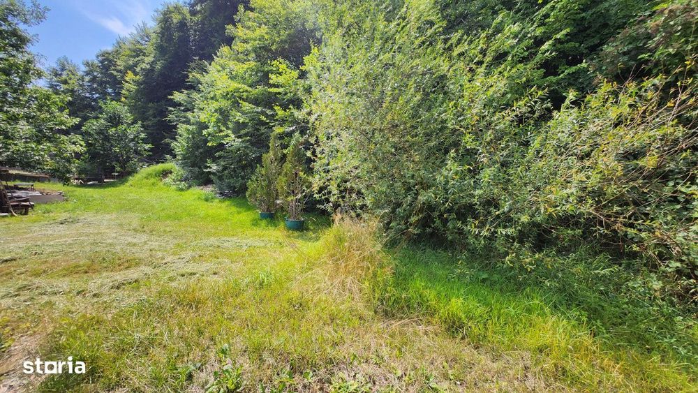 Teren intravilan, 1195mp, utilitati, la liziera padurii, parau, Faget
