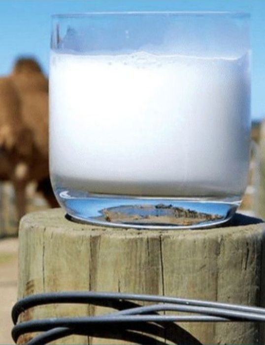 Шұбат таза табиғи