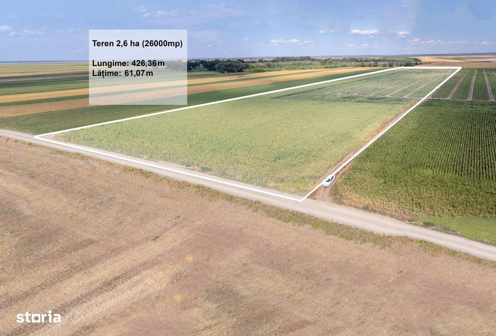 Teren agricol extravilan 2.6 ha - 26.000 mp - Valcelele, Buzau