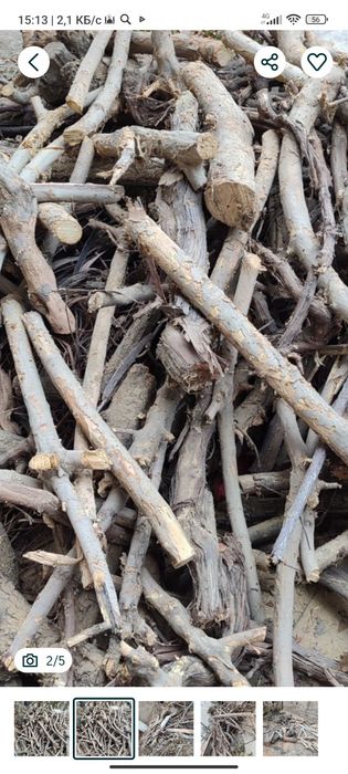 Срочно Курук Мевали Утин келишган холда сотилади.Самарканда