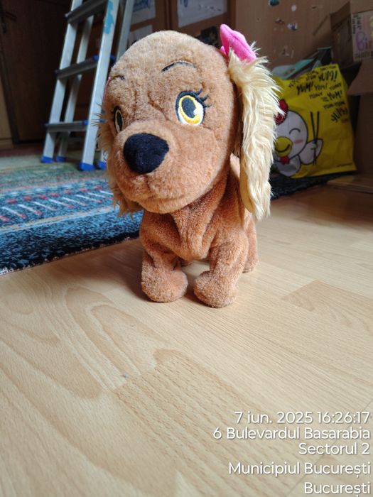 Câine interactiv