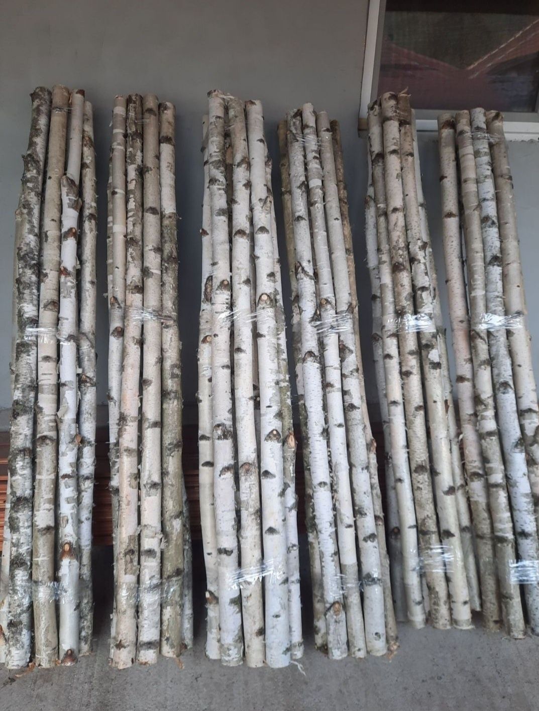 Lemn mesteacan / Paravane mesteacan alb / Tulpini mesteacan
