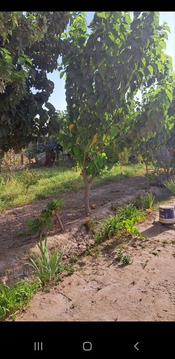 5 суток ер сотилади нахт пулга