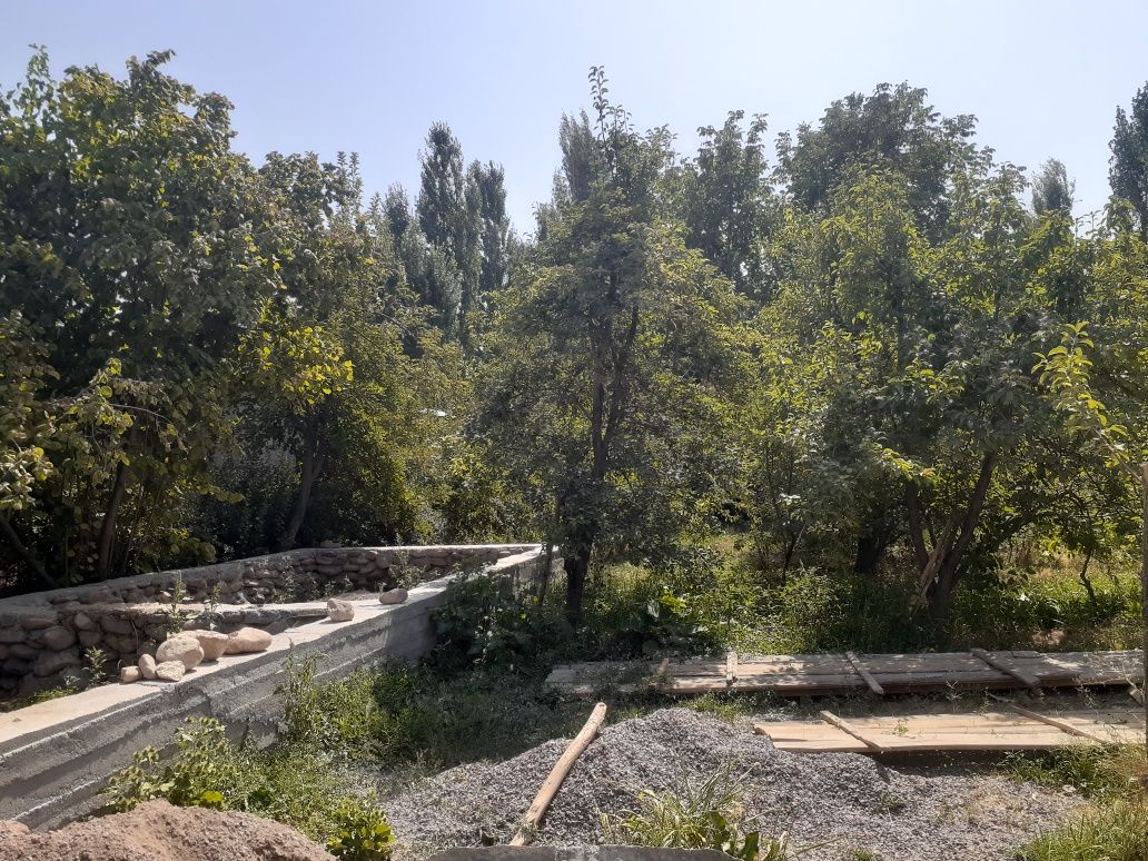 Qoramozorda yer sotiladi