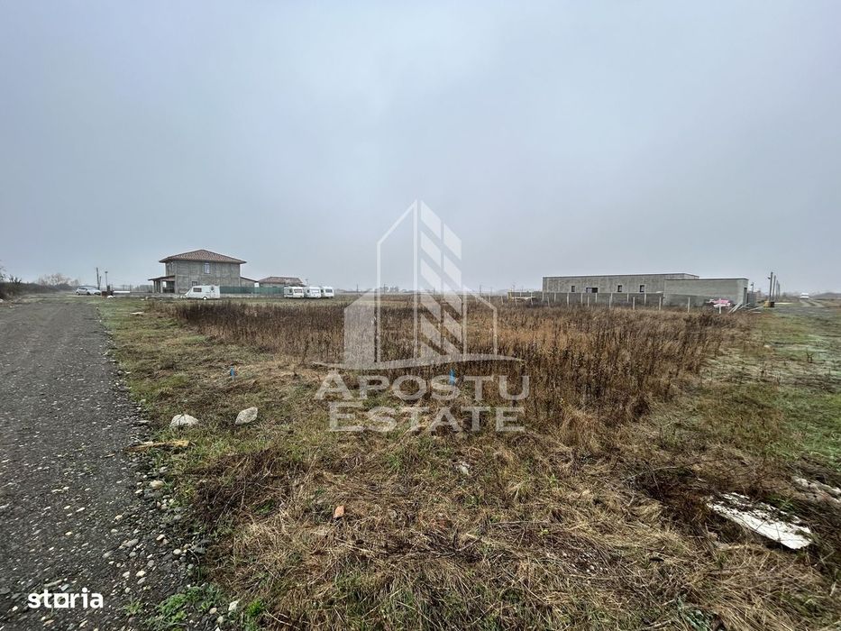 Teren 530  mp, Sacalaz, zona de case noi, zona PUZ Cosma.