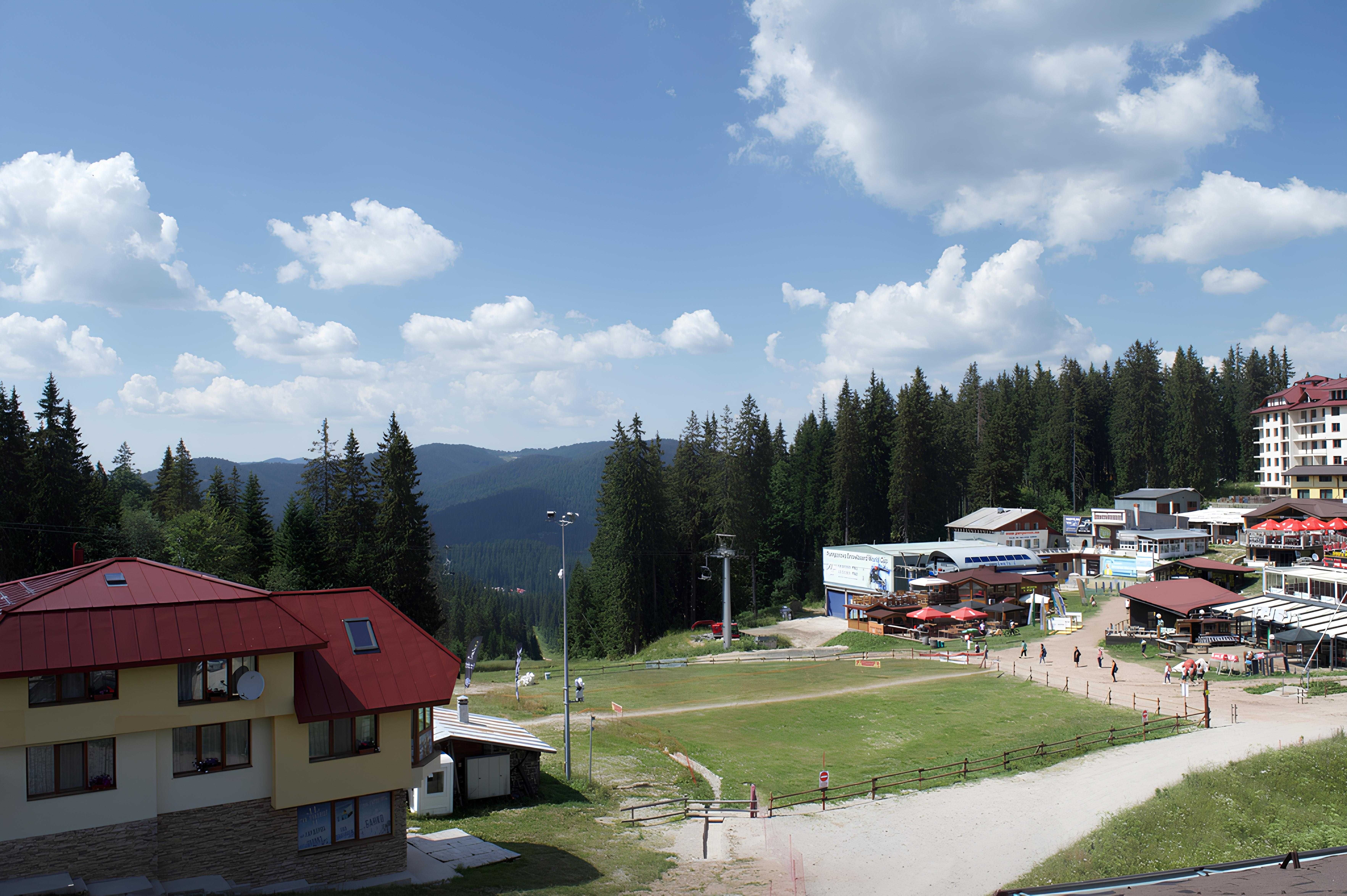 Sokolovi apartment, The bear Pamporovo