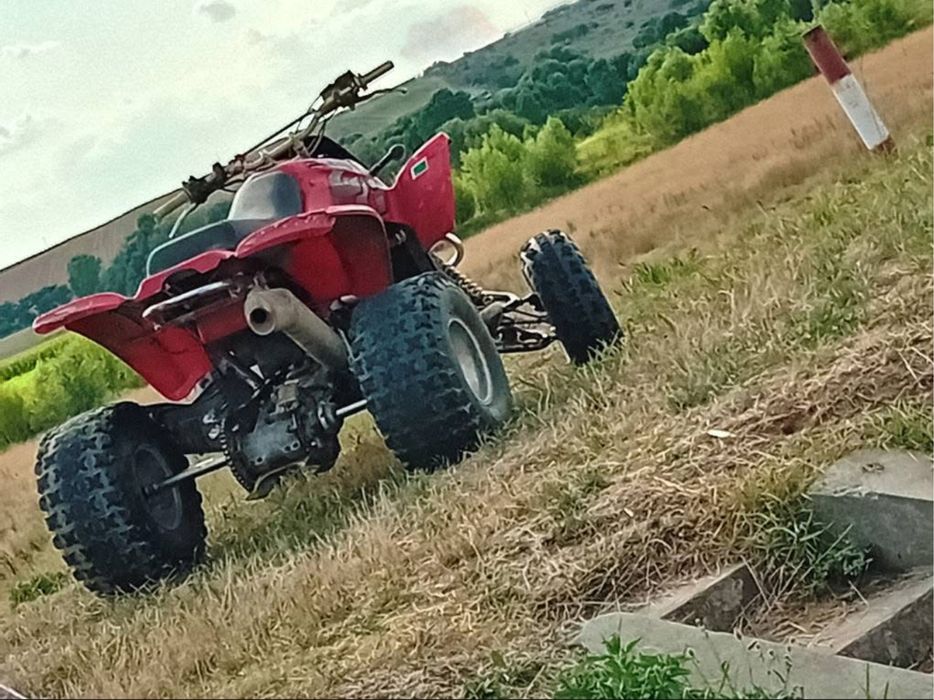 Vand gas gas 450 wild