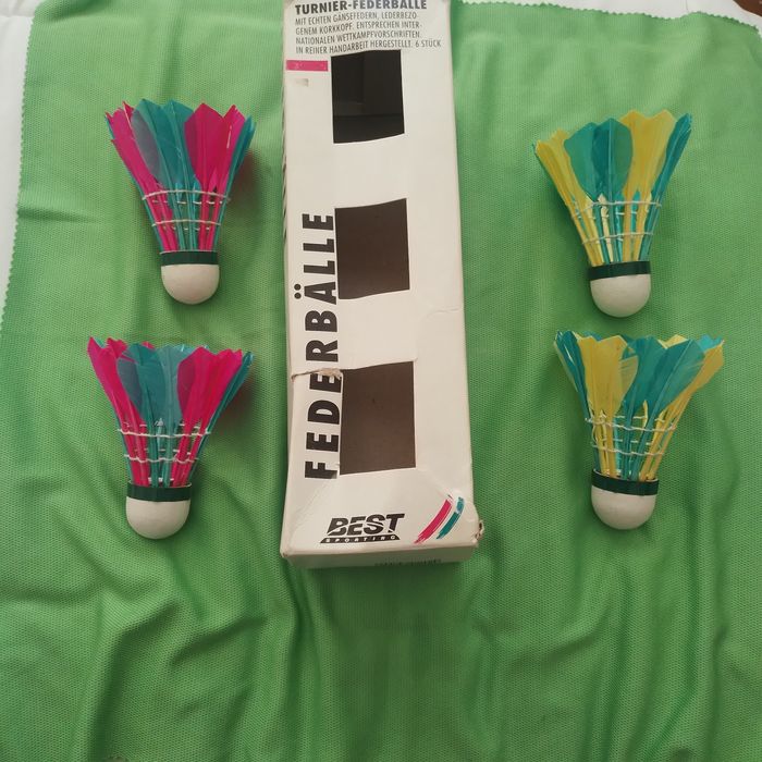 Fluturasi badminton Best