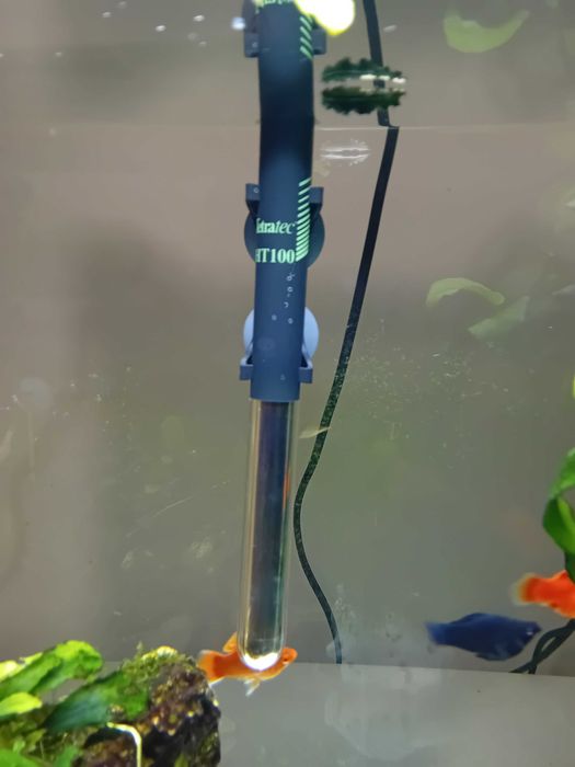 Incalzitor acvariu cu  termostat Tetratec HT100 wati