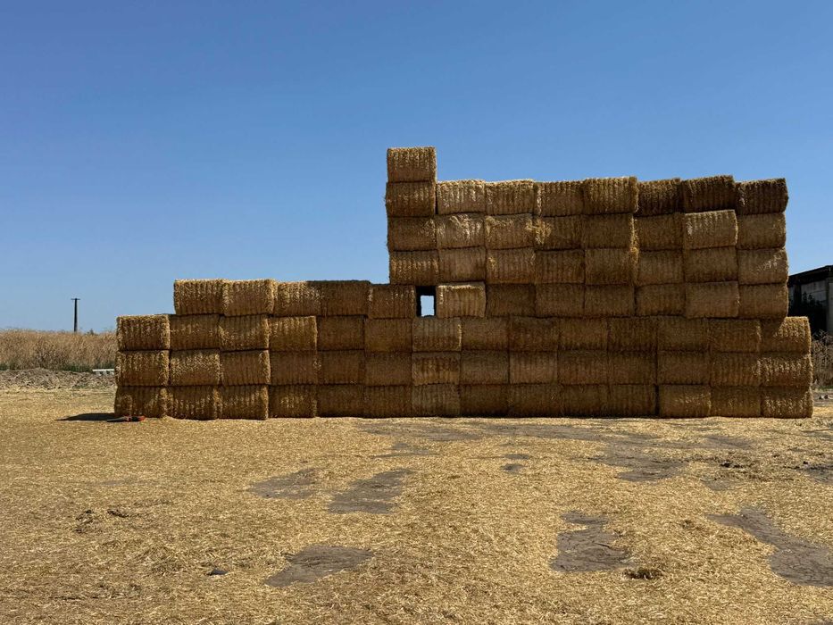 Vand baloti de paie dreptunghiulari din orz si grau
