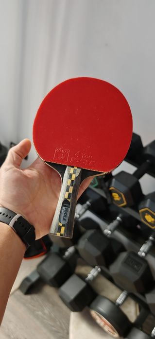 Paleta tenis de masa joola carbon pro (ping pong) + husa