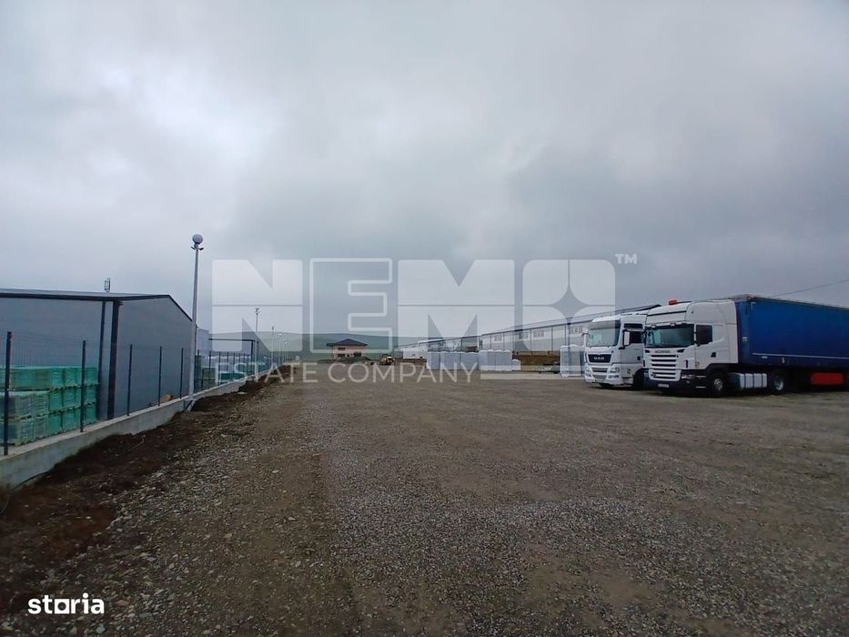 De Închiriat Teren I Scheia, Suceava I 6 EURO mp