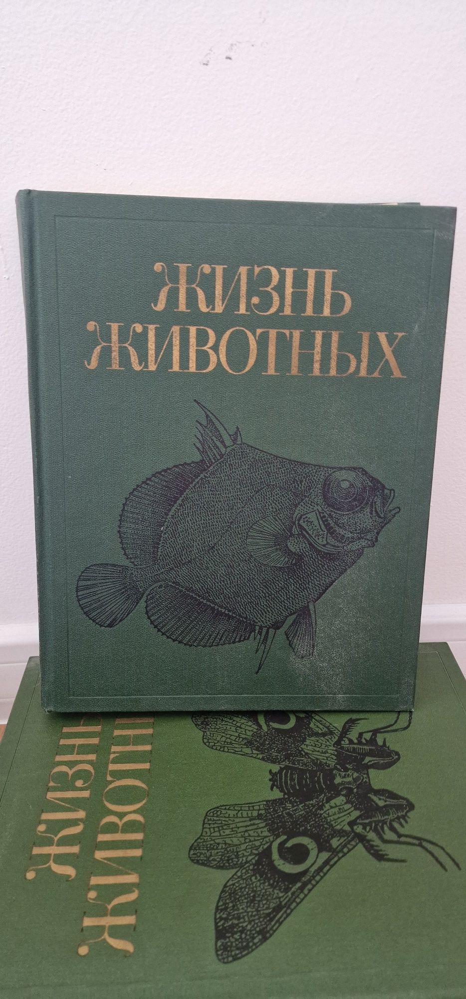 Живот на животните