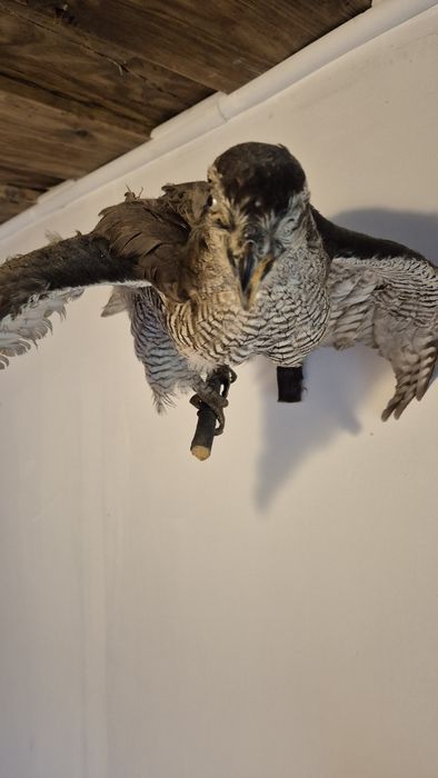 Casa noua anul 2020 in com. Oituz